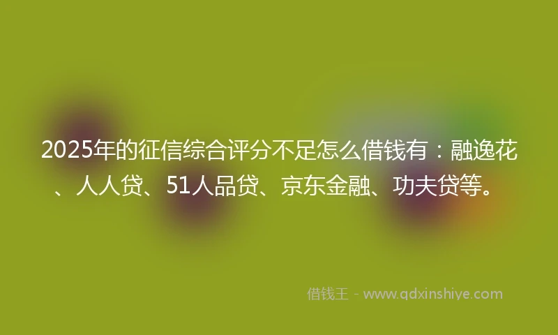 2025年的征信综合评分不足怎么借钱有：融逸花、人人贷、51人品贷、京东金融、功夫贷等。