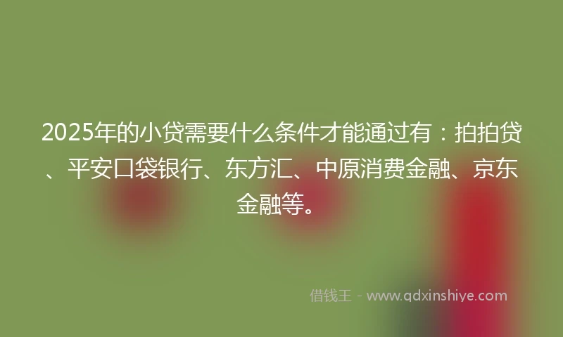2025年的小贷需要什么条件才能通过有：拍拍贷、平安口袋银行、东方汇、中原消费金融、京东金融等。