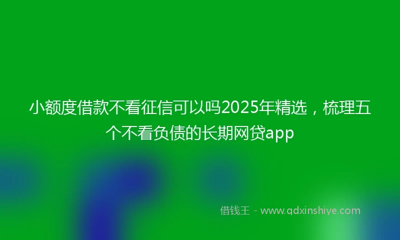 小额度借款不看征信可以吗2025年精选，梳理五个不看负债的长期网贷app
