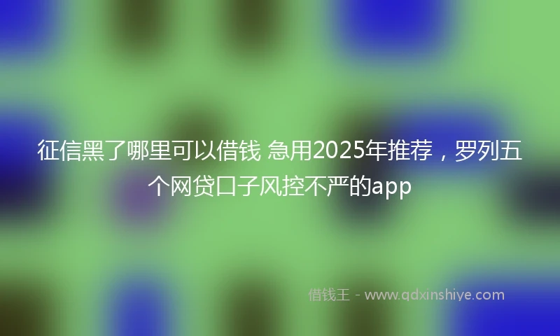 征信黑了哪里可以借钱 急用2025年推荐，罗列五个网贷口子风控不严的app