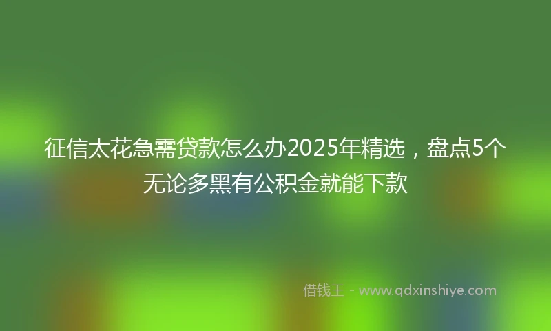 征信太花急需贷款怎么办2025年精选，盘点5个无论多黑有公积金就能下款