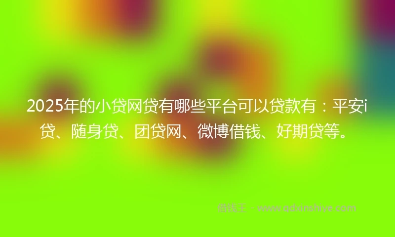 2025年的小贷网贷有哪些平台可以贷款有：平安i贷、随身贷、团贷网、微博借钱、好期贷等。