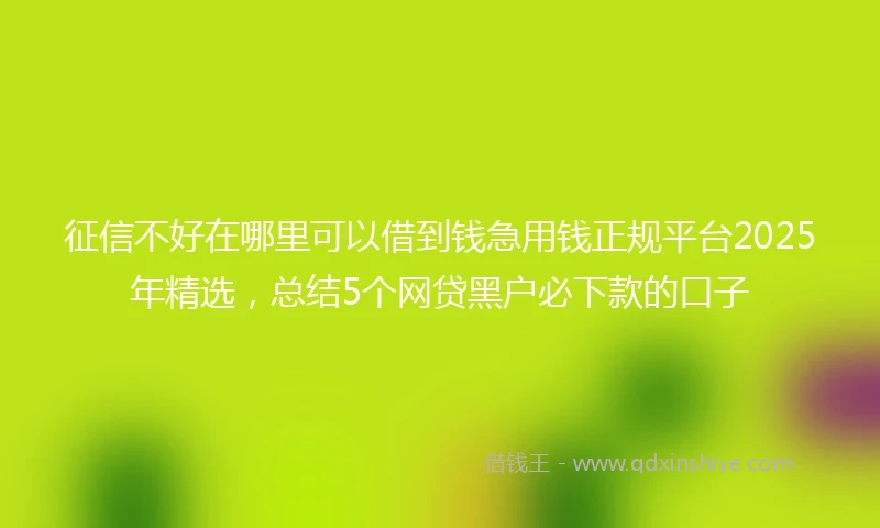 征信不好在哪里可以借到钱急用钱正规平台2025年精选，总结5个网贷黑户必下款的口子