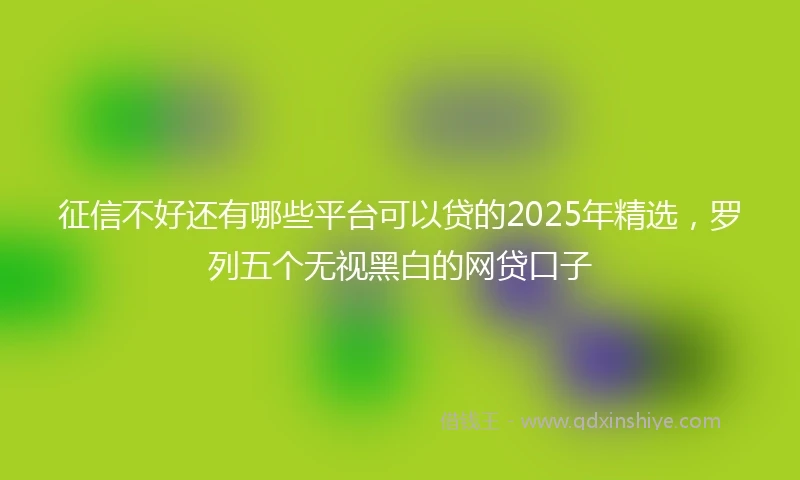 征信不好还有哪些平台可以贷的2025年精选，罗列五个无视黑白的网贷口子