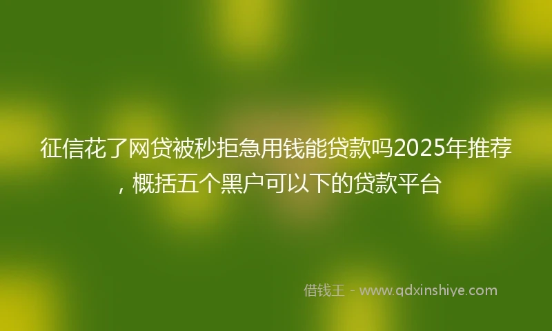 征信花了网贷被秒拒急用钱能贷款吗2025年推荐,概括五个黑户可以下的贷款平台