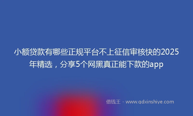 小额贷款有哪些正规平台不上征信审核快的2025年精选，分享5个网黑真正能下款的app