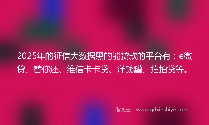 2025年的征信大数据黑的能贷款的平台有：e微贷、替你还、维信卡卡贷、洋钱罐、拍拍贷等。