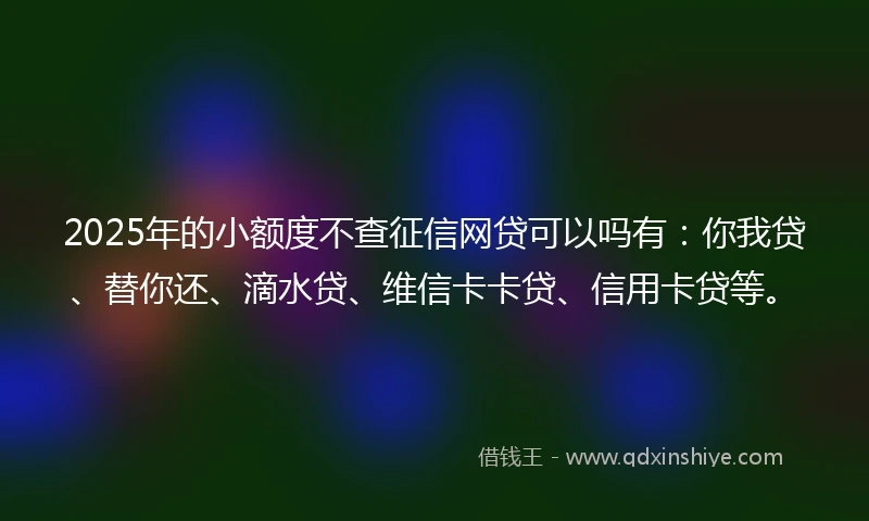 2025年的小额度不查征信网贷可以吗有：你我贷、替你还、滴水贷、维信卡卡贷、信用卡贷等。
