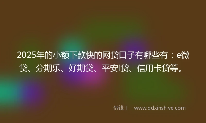 2025年的小额下款快的网贷口子有哪些有：e微贷、分期乐、好期贷、平安i贷、信用卡贷等。