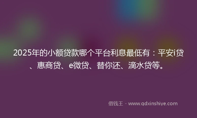 2025年的小额贷款哪个平台利息最低有：平安i贷、惠商贷、e微贷、替你还、滴水贷等。