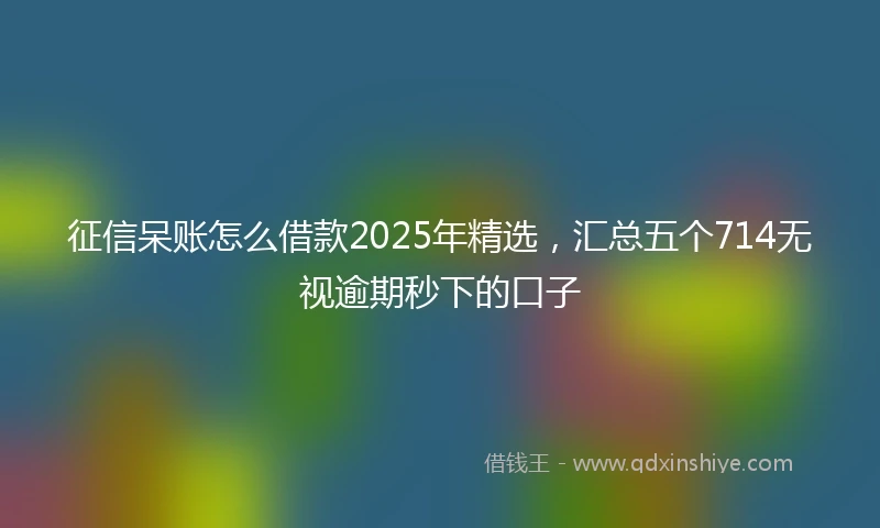 征信呆账怎么借款2025年精选，汇总五个714无视逾期秒下的口子