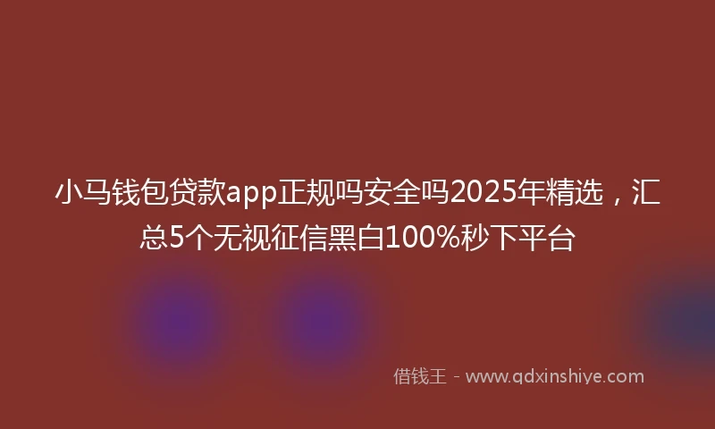 小马钱包贷款app正规吗安全吗2025年精选，汇总5个无视征信黑白100%秒下平台