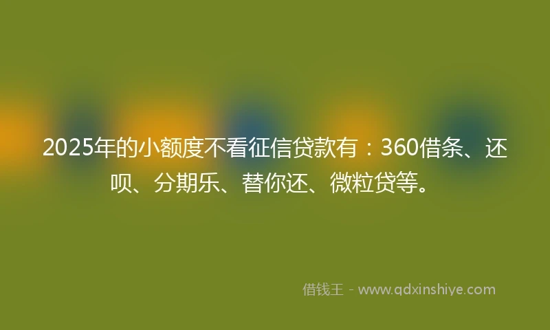 2025年的小额度不看征信贷款有：360借条、还呗、分期乐、替你还、微粒贷等。
