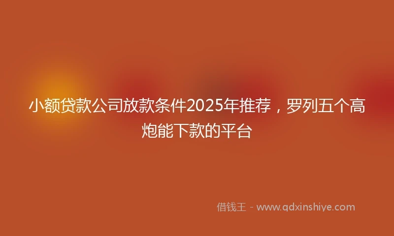 小额贷款公司放款条件2025年推荐，罗列五个高炮能下款的平台