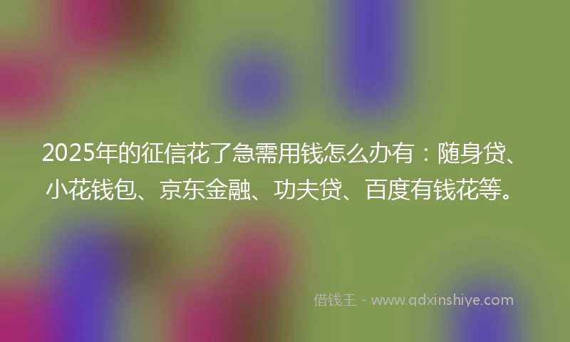 2025年的征信花了急需用钱怎么办有：随身贷、小花钱包、京东金融、功夫贷、百度有钱花等。