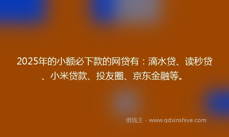 2025年的小额必下款的网贷有：滴水贷、读秒贷、小米贷款、投友圈、京东金融等。