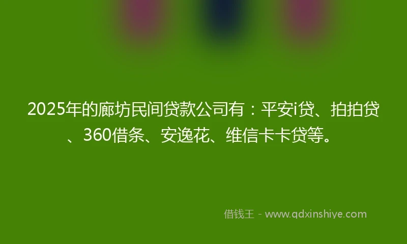 2025年的廊坊民间贷款公司有：平安i贷、拍拍贷、360借条、安逸花、维信卡卡贷等。