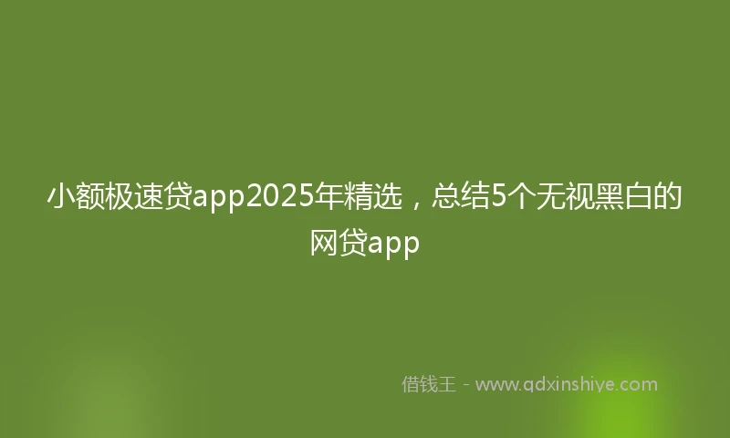 小额极速贷app2025年精选，总结5个无视黑白的网贷app