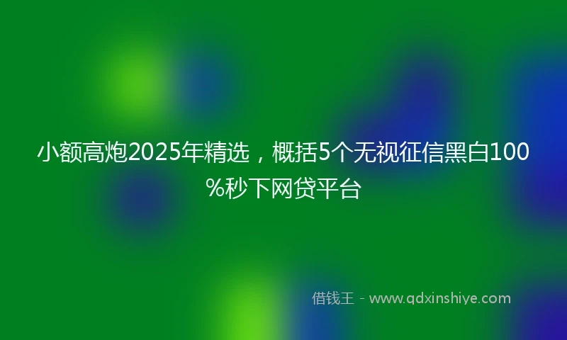 小额高炮2025年精选，概括5个无视征信黑白100%秒下网贷平台