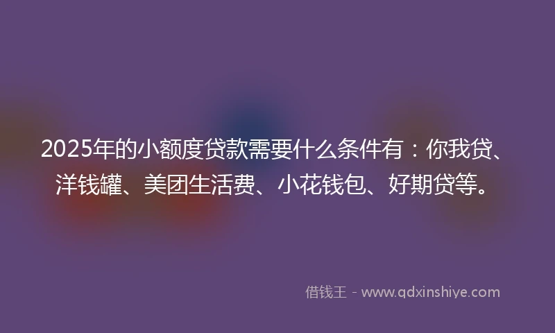 2025年的小额度贷款需要什么条件有：你我贷、洋钱罐、美团生活费、小花钱包、好期贷等。
