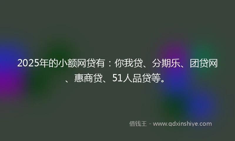 2025年的小额网贷有：你我贷、分期乐、团贷网、惠商贷、51人品贷等。