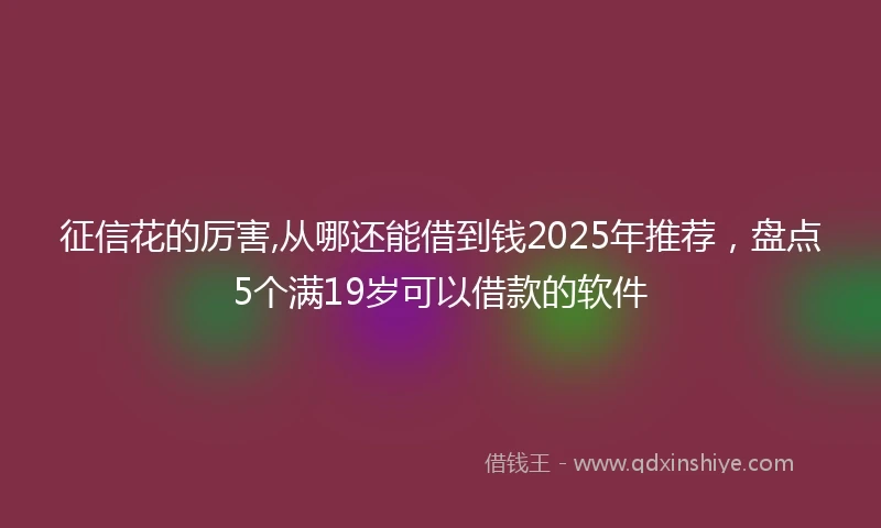 征信花的厉害,从哪还能借到钱2025年推荐，盘点5个满19岁可以借款的软件