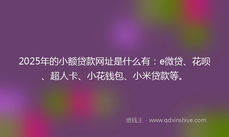 2025年的小额贷款网址是什么有：e微贷、花呗、超人卡、小花钱包、小米贷款等。