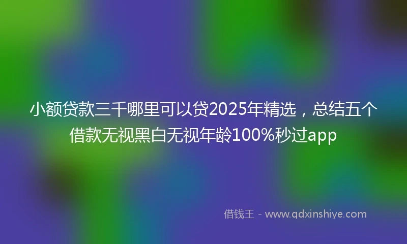 小额贷款三千哪里可以贷2025年精选，总结五个借款无视黑白无视年龄100%秒过app