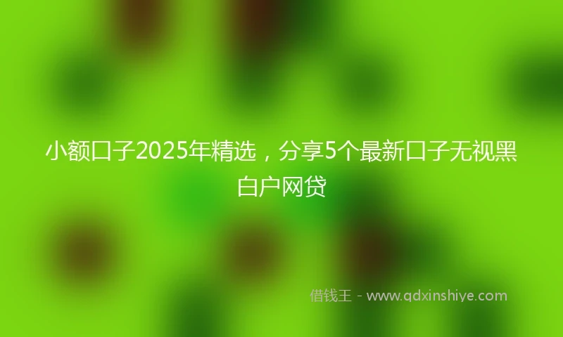 小额口子2025年精选，分享5个最新口子无视黑白户网贷