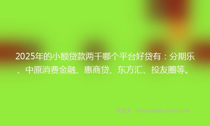 2025年的小额贷款两千哪个平台好贷有：分期乐、中原消费金融、惠商贷、东方汇、投友圈等。