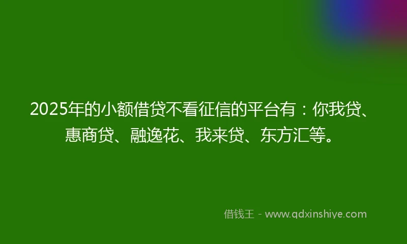 2025年的小额借贷不看征信的平台有：你我贷、惠商贷、融逸花、我来贷、东方汇等。