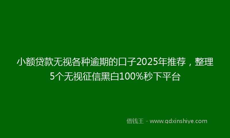 小额贷款无视各种逾期的口子2025年推荐，整理5个无视征信黑白100%秒下平台