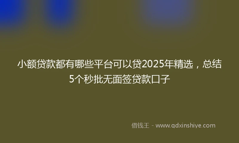 小额贷款都有哪些平台可以贷2025年精选，总结5个秒批无面签贷款口子