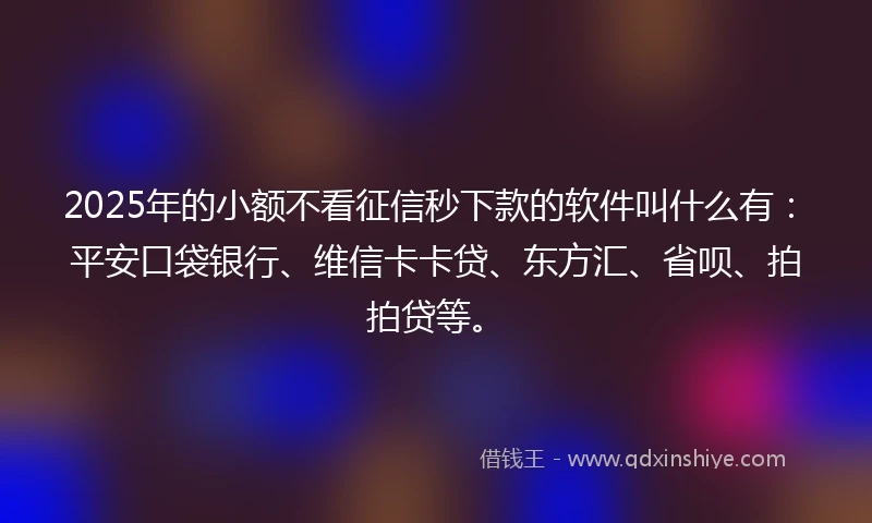 2025年的小额不看征信秒下款的软件叫什么有：平安口袋银行、维信卡卡贷、东方汇、省呗、拍拍贷等。