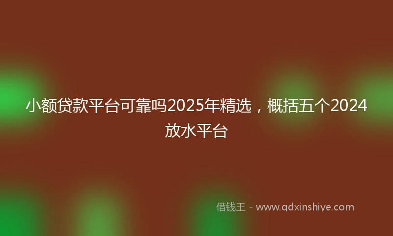 小额贷款平台可靠吗2025年精选，概括五个2024放水平台