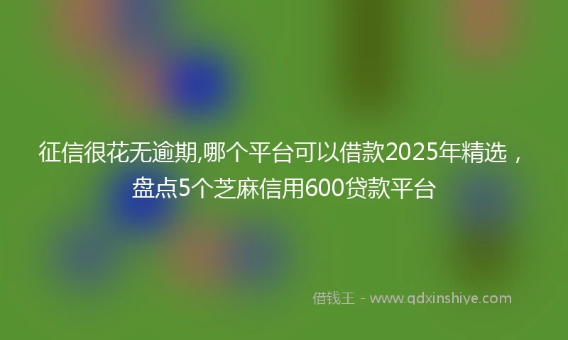 征信很花无逾期,哪个平台可以借款2025年精选，盘点5个芝麻信用600贷款平台