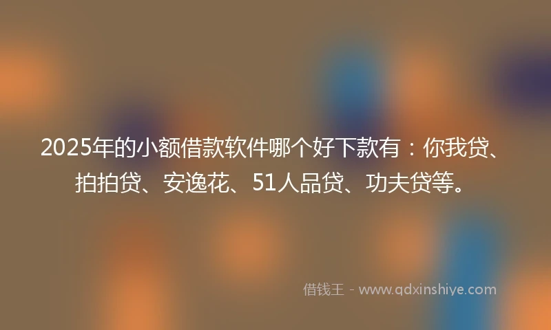 2025年的小额借款软件哪个好下款有：你我贷、拍拍贷、安逸花、51人品贷、功夫贷等。