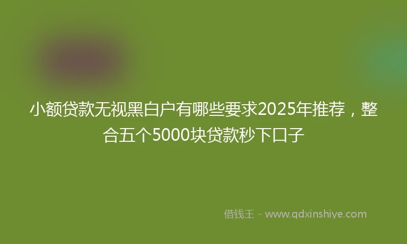 小额贷款无视黑白户有哪些要求2025年推荐，整合五个5000块贷款秒下口子