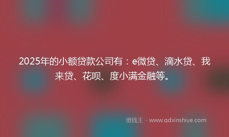 2025年的小额贷款公司有：e微贷、滴水贷、我来贷、花呗、度小满金融等。