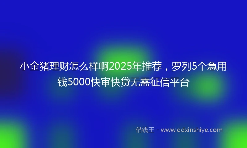 小金猪理财怎么样啊2025年推荐，罗列5个急用钱5000快审快贷无需征信平台