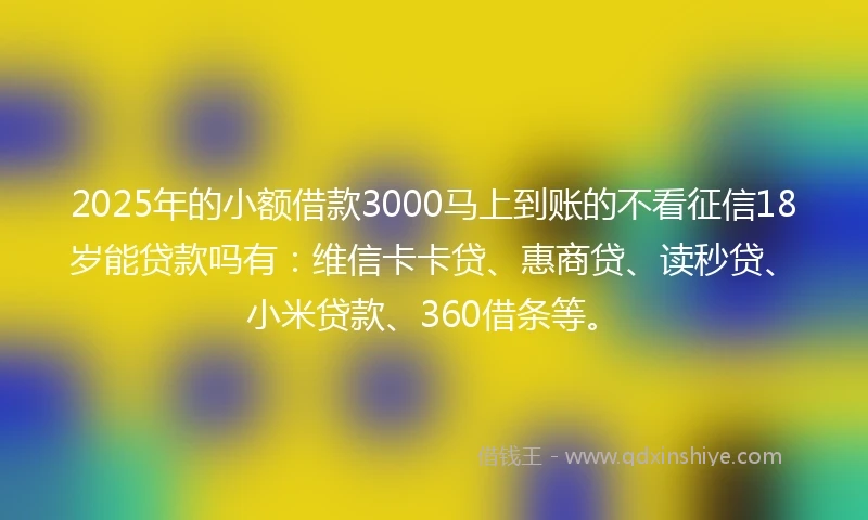 2025年的小额借款3000马上到账的不看征信18岁能贷款吗有：维信卡卡贷、惠商贷、读秒贷、小米贷款、360借条等。