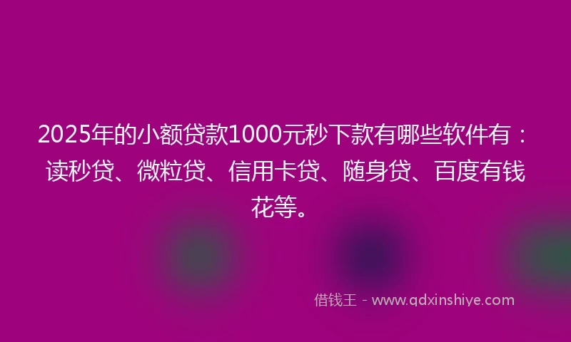 2025年的小额贷款1000元秒下款有哪些软件有：读秒贷、微粒贷、信用卡贷、随身贷、百度有钱花等。