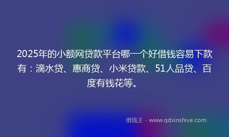 2025年的小额网贷款平台哪一个好借钱容易下款有：滴水贷、惠商贷、小米贷款、51人品贷、百度有钱花等。