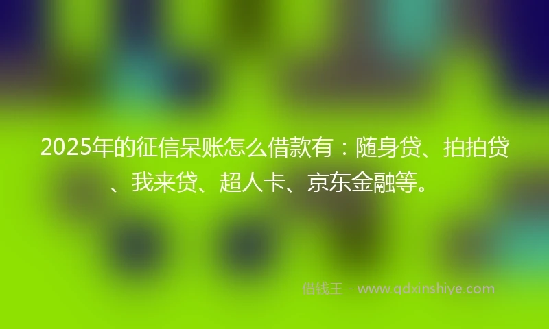 2025年的征信呆账怎么借款有：随身贷、拍拍贷、我来贷、超人卡、京东金融等。