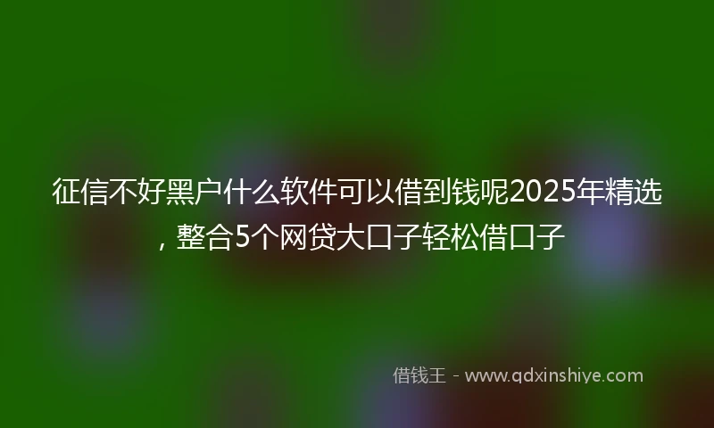 征信不好黑户什么软件可以借到钱呢2025年精选，整合5个网贷大口子轻松借口子