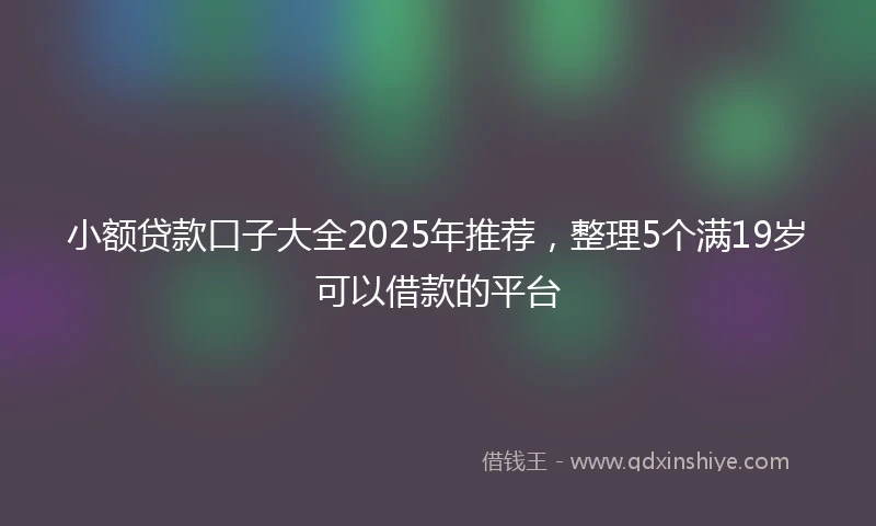小额贷款口子大全2025年推荐，整理5个满19岁可以借款的平台