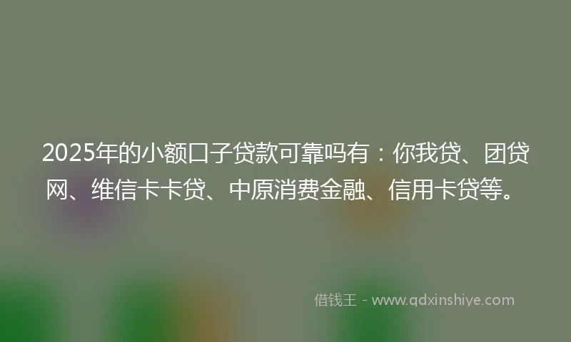 2025年的小额口子贷款可靠吗有：你我贷、团贷网、维信卡卡贷、中原消费金融、信用卡贷等。