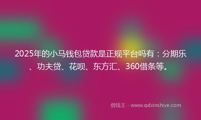 2025年的小马钱包贷款是正规平台吗有：分期乐、功夫贷、花呗、东方汇、360借条等。