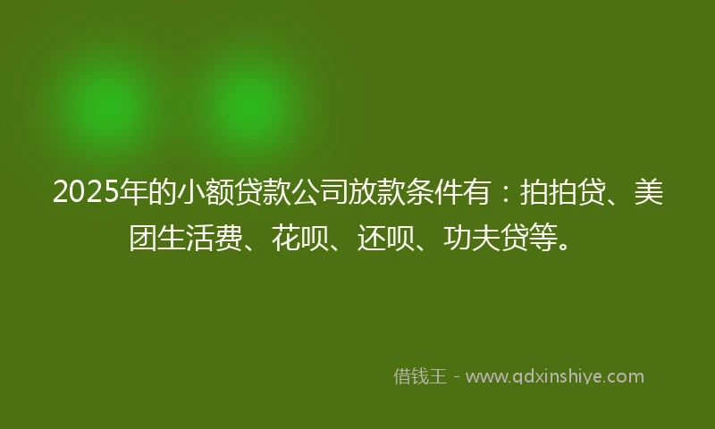 2025年的小额贷款公司放款条件有：拍拍贷、美团生活费、花呗、还呗、功夫贷等。