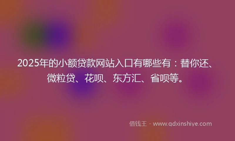 2025年的小额贷款网站入口有哪些有：替你还、微粒贷、花呗、东方汇、省呗等。